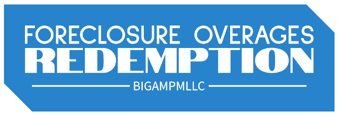 SurplusOveragesServices